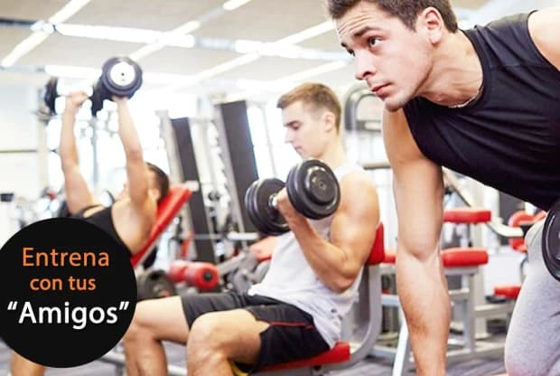 All Gym Fitness Club, foto 3