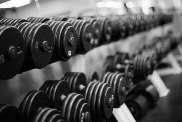 Animal GYM - Comas, foto 3