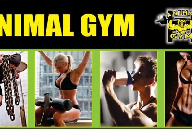 Animal GYM - Comas, foto 6
