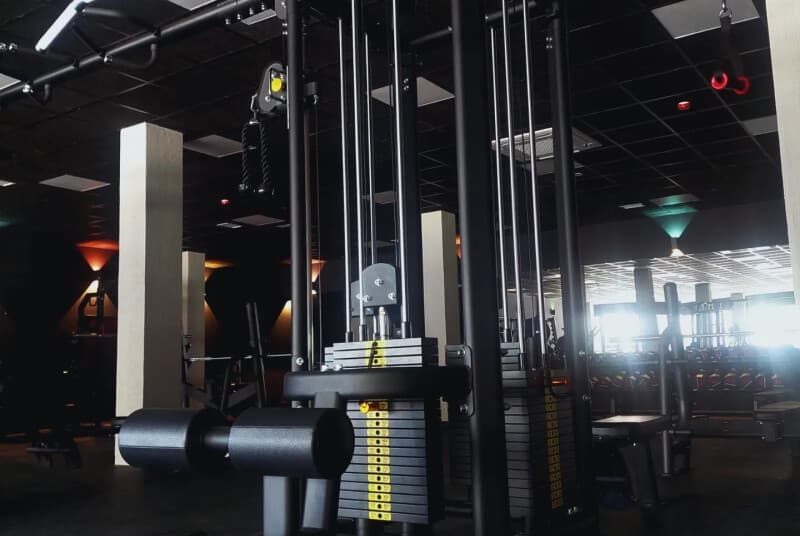 Animal Gym Guadalajara, foto 2