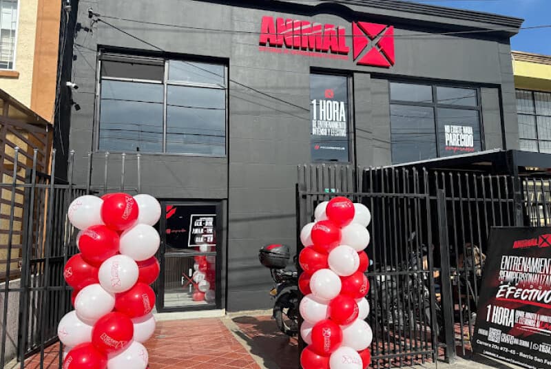 Animalx Templo Bogotá, foto 5