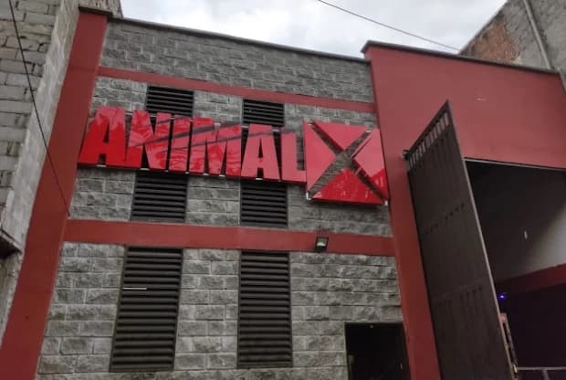 Animalx Templo Cali Sur, foto de portada