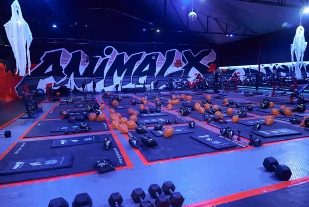 Animalx Templo Envigado, foto 2