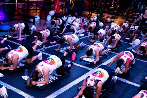 Animalx Templo Envigado, foto 3