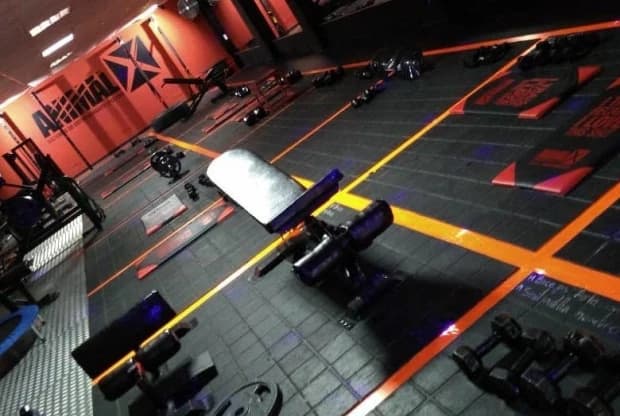 Animalx Templo Girardota, foto de portada