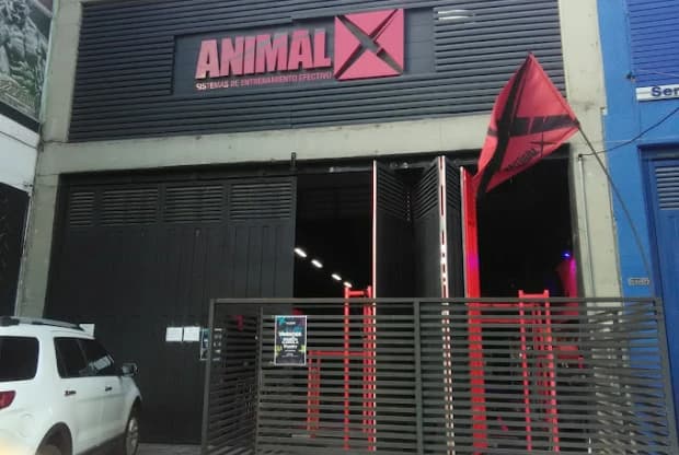 Animalx Templo La América, foto de portada