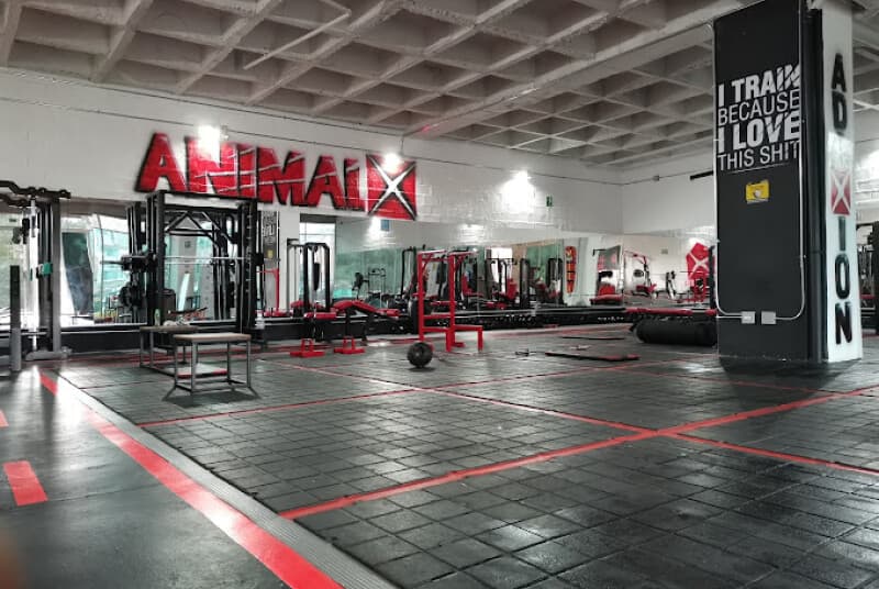 Animalx Templo Marinilla, foto 5