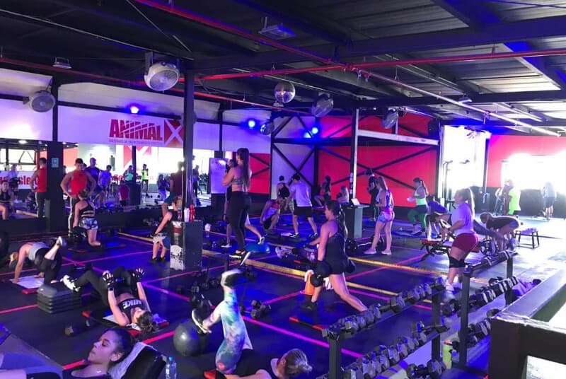 Animalx Templo Pereira, foto 6