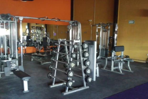 Anytime Fitness Álamos, foto 3