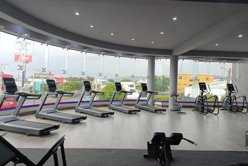 Anytime Fitness Zona Alta, foto 4