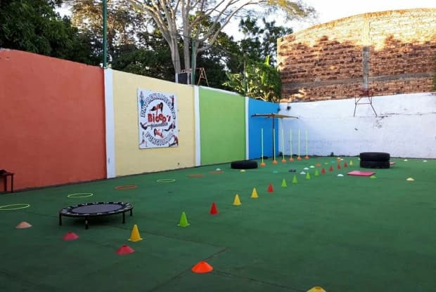Bíceps Gimnasio, foto 2