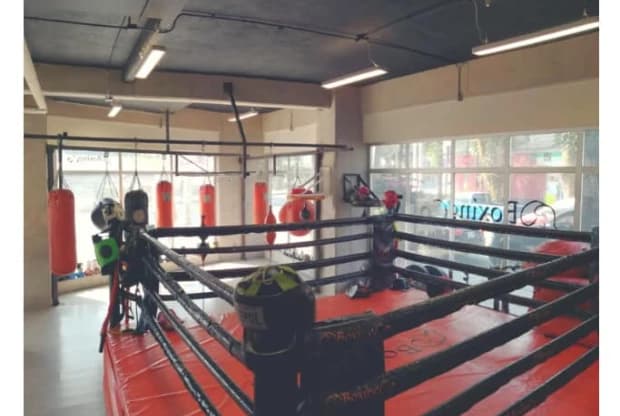 Boxing Co, foto 6