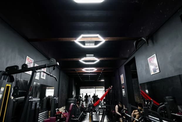 Bulk Gym, foto 3