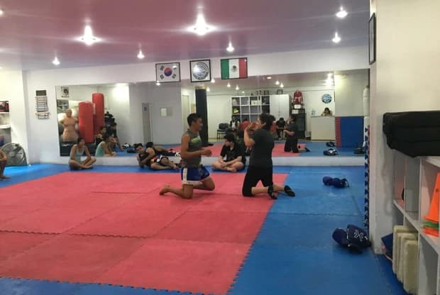 Dosan Artes Marciales, foto 6