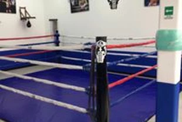 El Ring Boxeo, foto 4