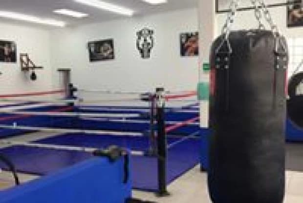 El Ring Boxeo, foto 5