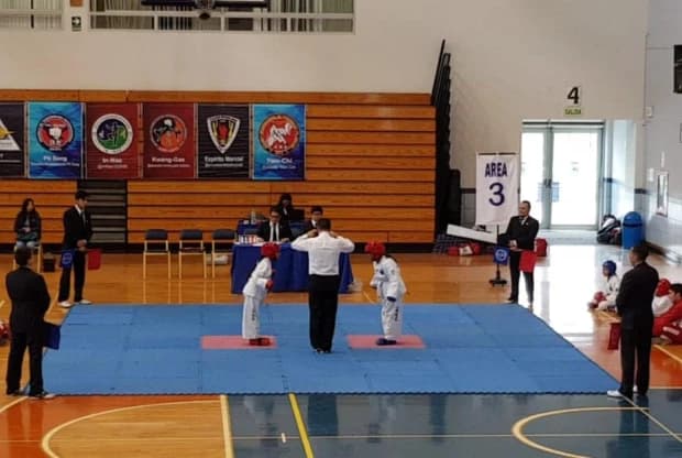 Escuela De Taekwon-Do "In - Nae", foto de portada