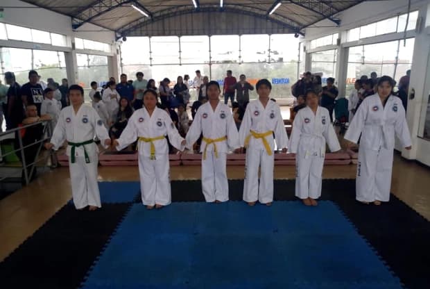 Escuela De Taekwon-Do "In - Nae", foto 2