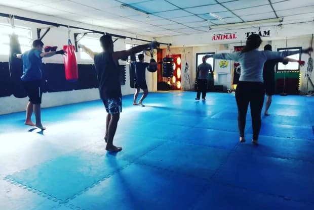 Gimnasio Animal Team, foto 2