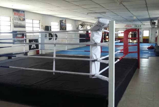 Gimnasio Animal Team, foto 6