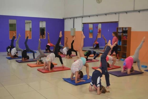 Gimnasio Ludo, foto 6