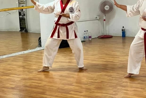 Koryo Tang Soo Do Lampa, foto 3