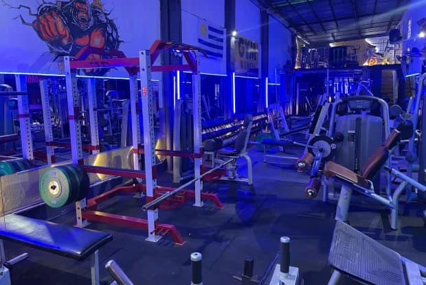 Monkey Gym, foto de portada