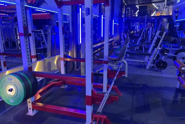 Monkey Gym, foto 2