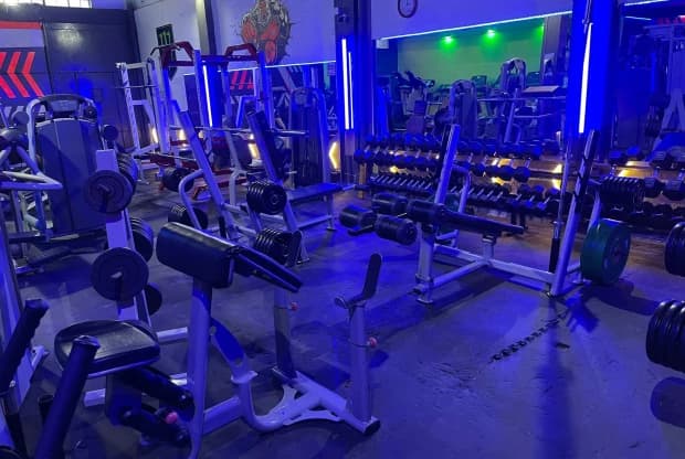 Monkey Gym, foto 3