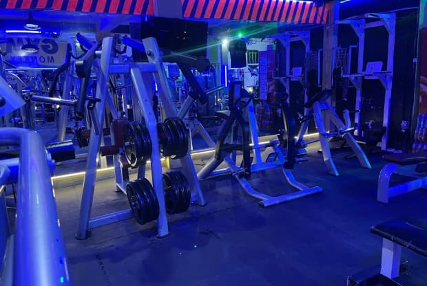 Monkey Gym, foto 5