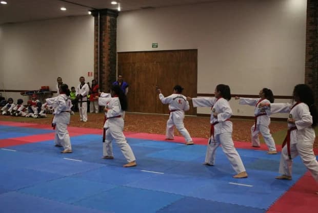 Moo Duk Kwan - Los Encinos, foto 2