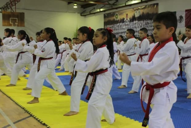 Moo Duk Kwan - Tejupilco, foto 4
