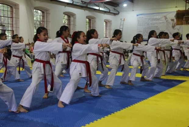 Moo Duk Kwan - Tejupilco, foto 5