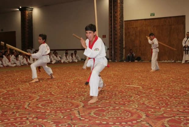 Moo Duk Kwan - Tejupilco, foto 6