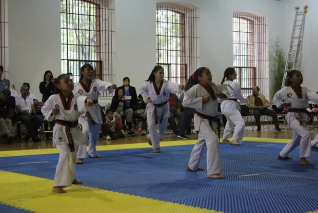 Moo Duk Kwan - Tepotzotlan, foto 3