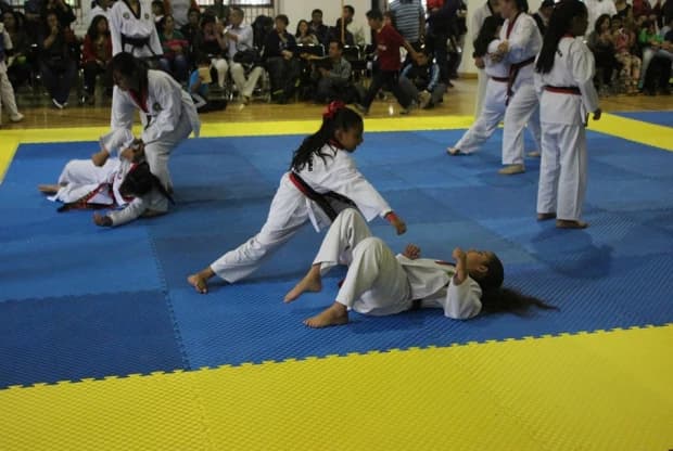 Moo Duk Kwan - Tepotzotlan, foto 4