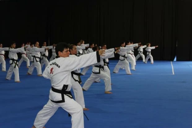 Moo Duk Kwan - Tizapán, foto de portada