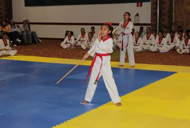 Moo Duk Kwan - Tizapán, foto 2