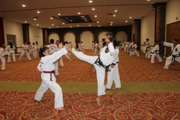 Moo Duk Kwan - Tizapán, foto 5