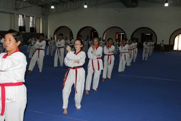 Moo Duk Kwan - Tizapán, foto 6