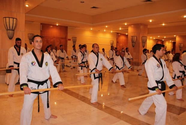 Moo Duk Kwan - Tollocan, foto 4