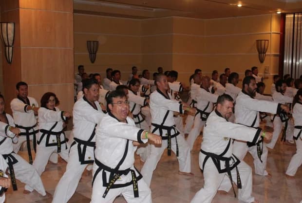 Moo Duk Kwan - Tollocan, foto 6