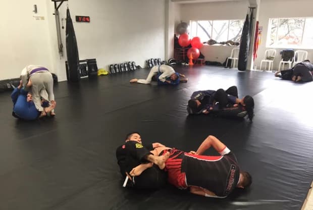 Octagon Mma, foto de portada