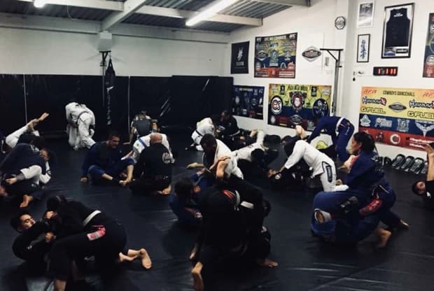 Octagon Mma, foto 3