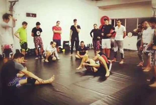 Octagon Mma, foto 4