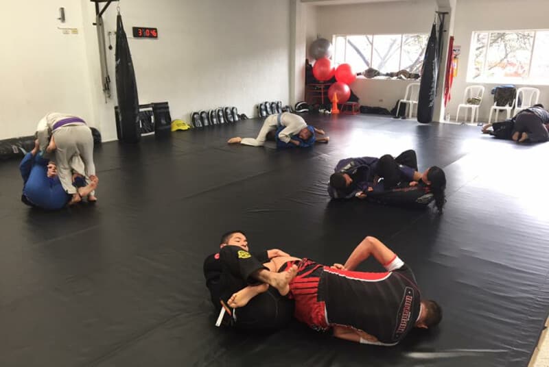 Octagon Mma, foto 5