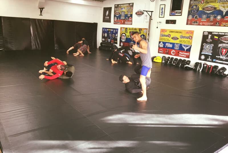 Octagon Mma, foto 6