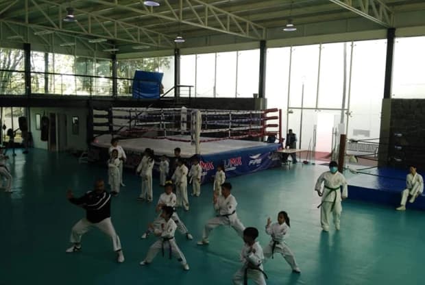 Okinawa Karate Do - Parque Cedec, foto 2