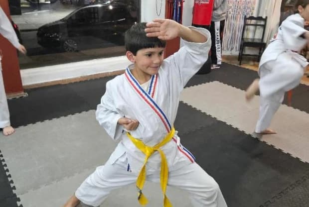Phoenix Artes Marciales, foto de portada