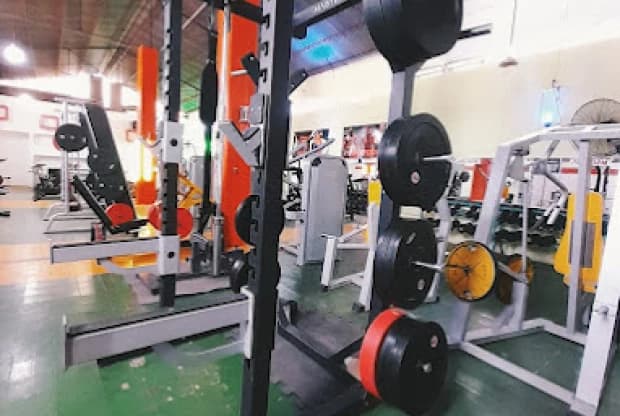 ProForm 5ta, foto 2
